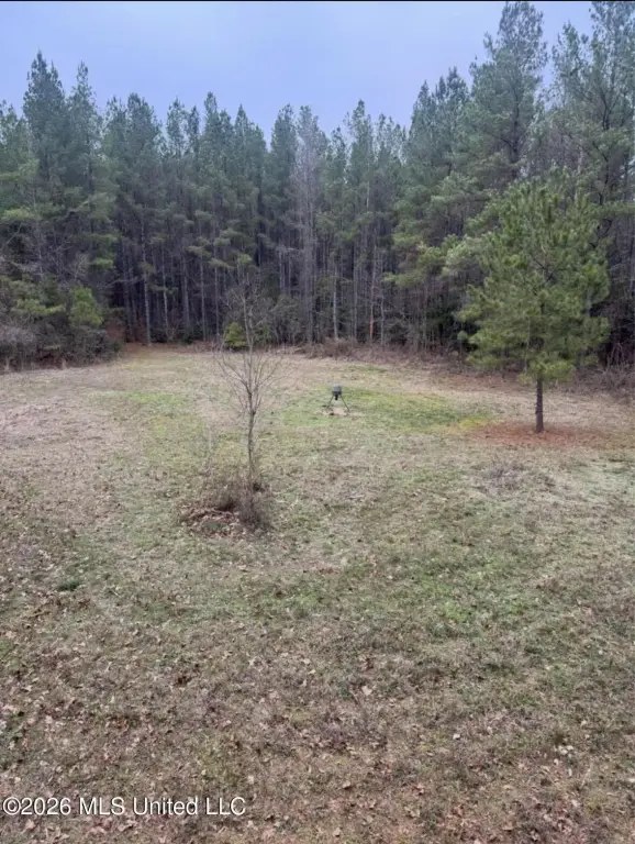 Picture 2