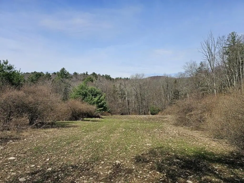 Picture 11