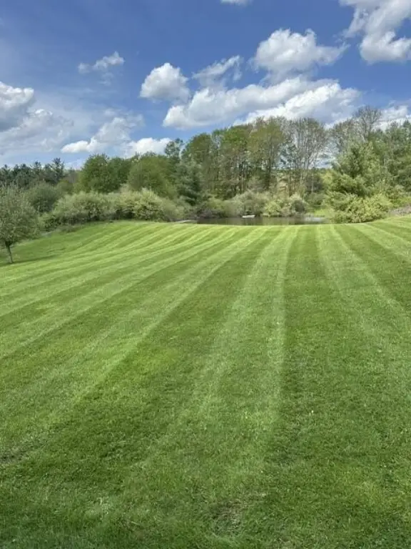Picture 3