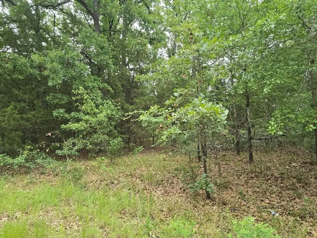 Picture 3