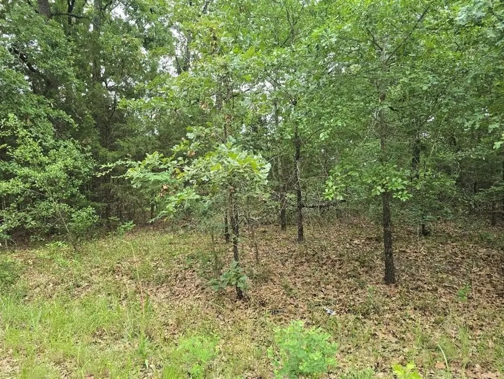Picture 4