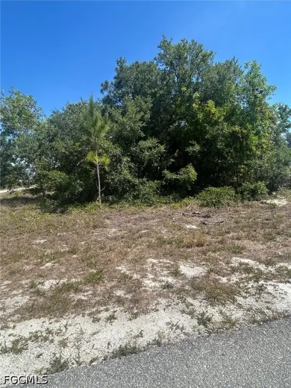Picture 2