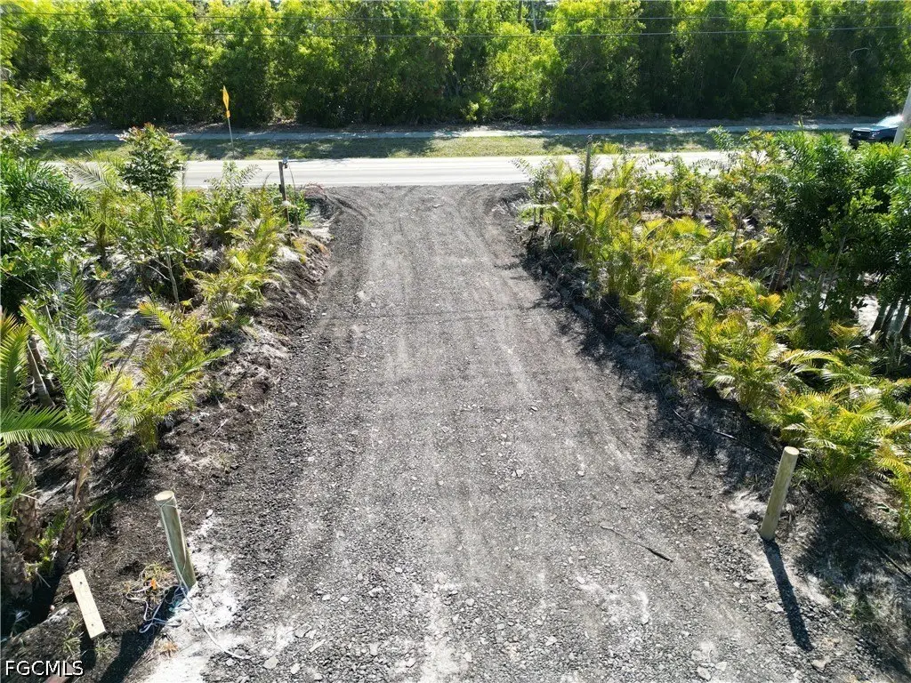 Picture 9