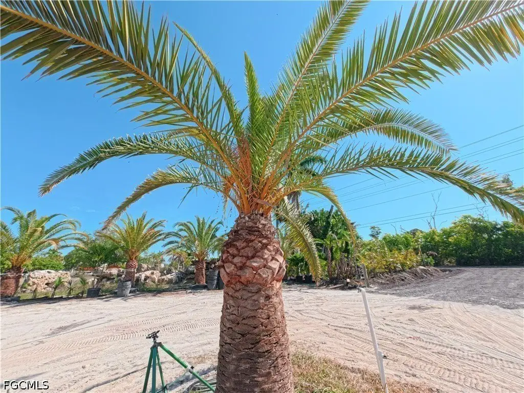 Picture 25