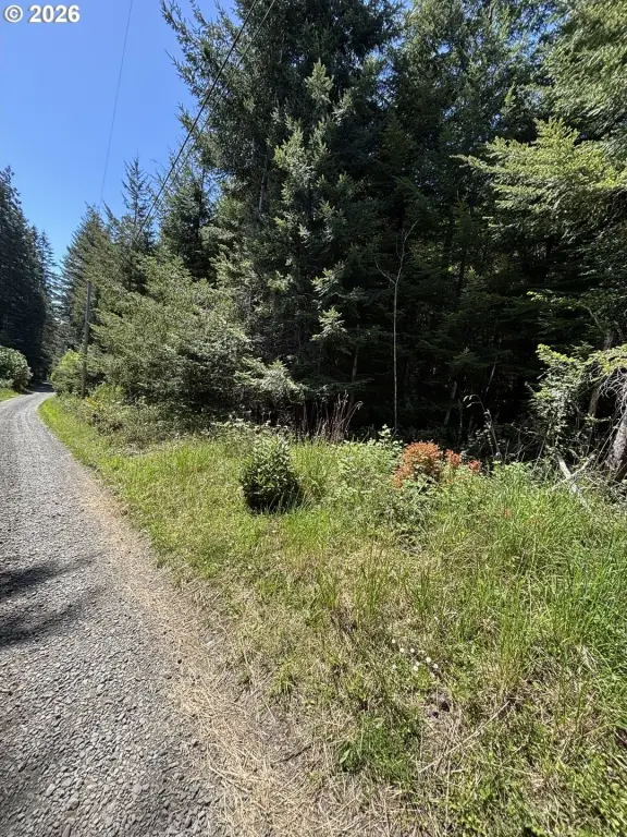 Picture 4