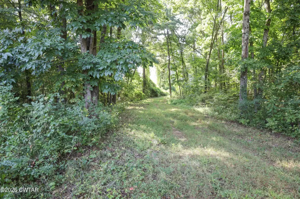 Picture 20