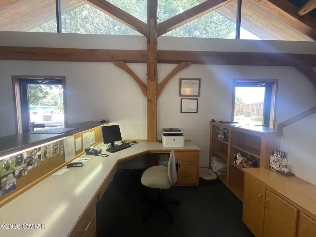 Picture 6