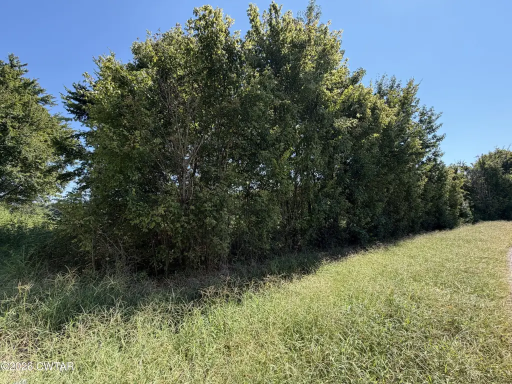 Picture 28
