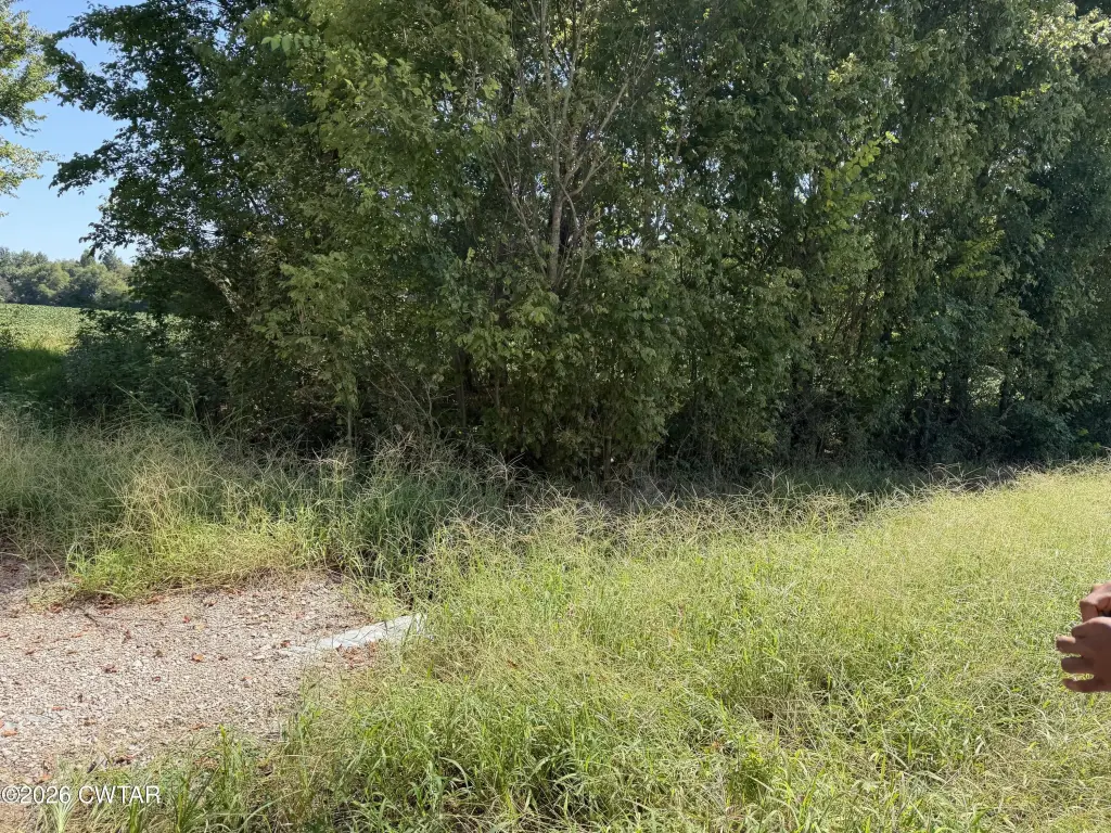 Picture 30
