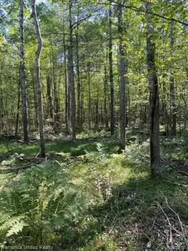 Residential Land in Alger, MI