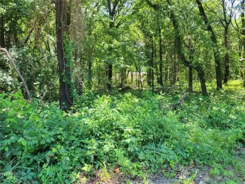 Kingston, OK Wooded Acreage