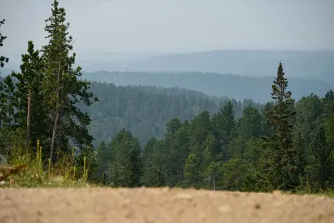 Residential Lot in Terry Peak