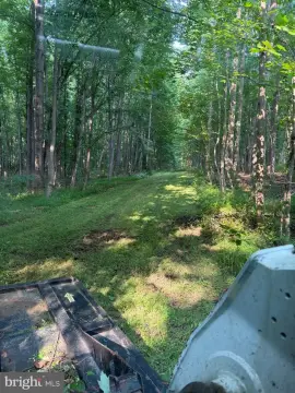 Percolation-Approved Wooded Estate Lot