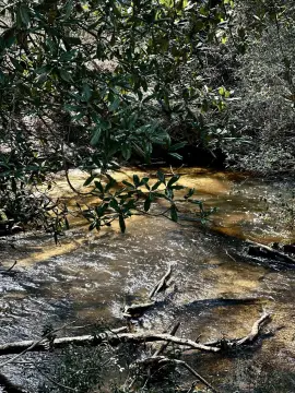 Lumberton Land on Little Creek