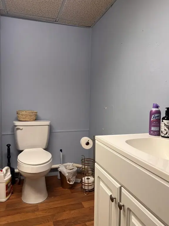 Picture 8