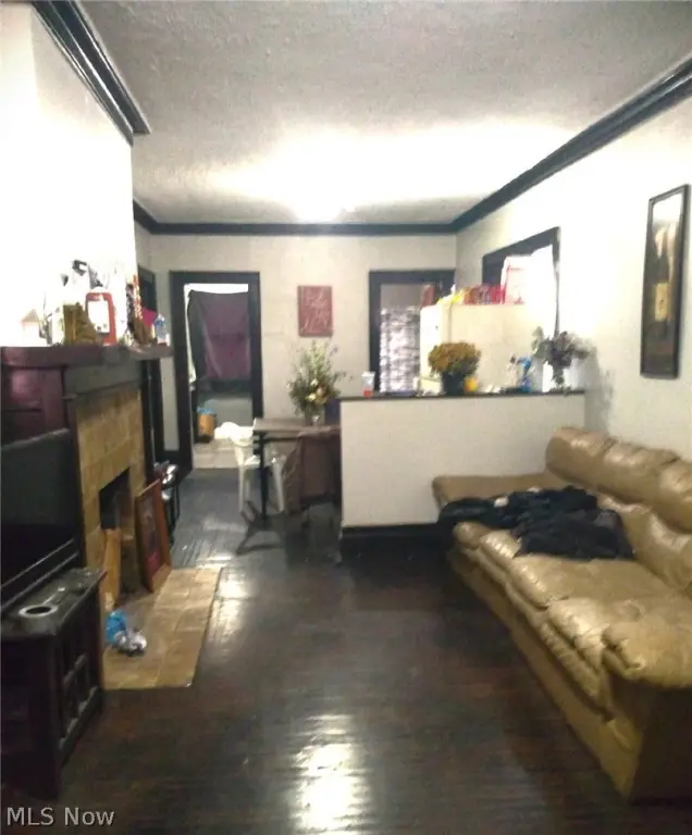 Picture 12