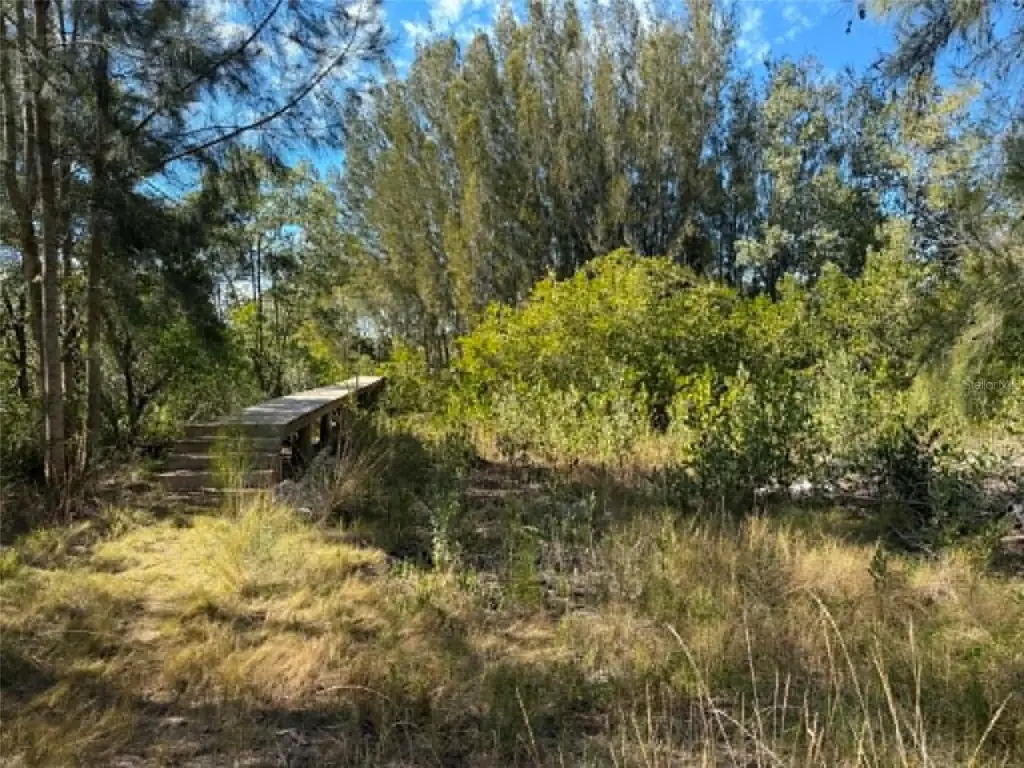 Picture 16