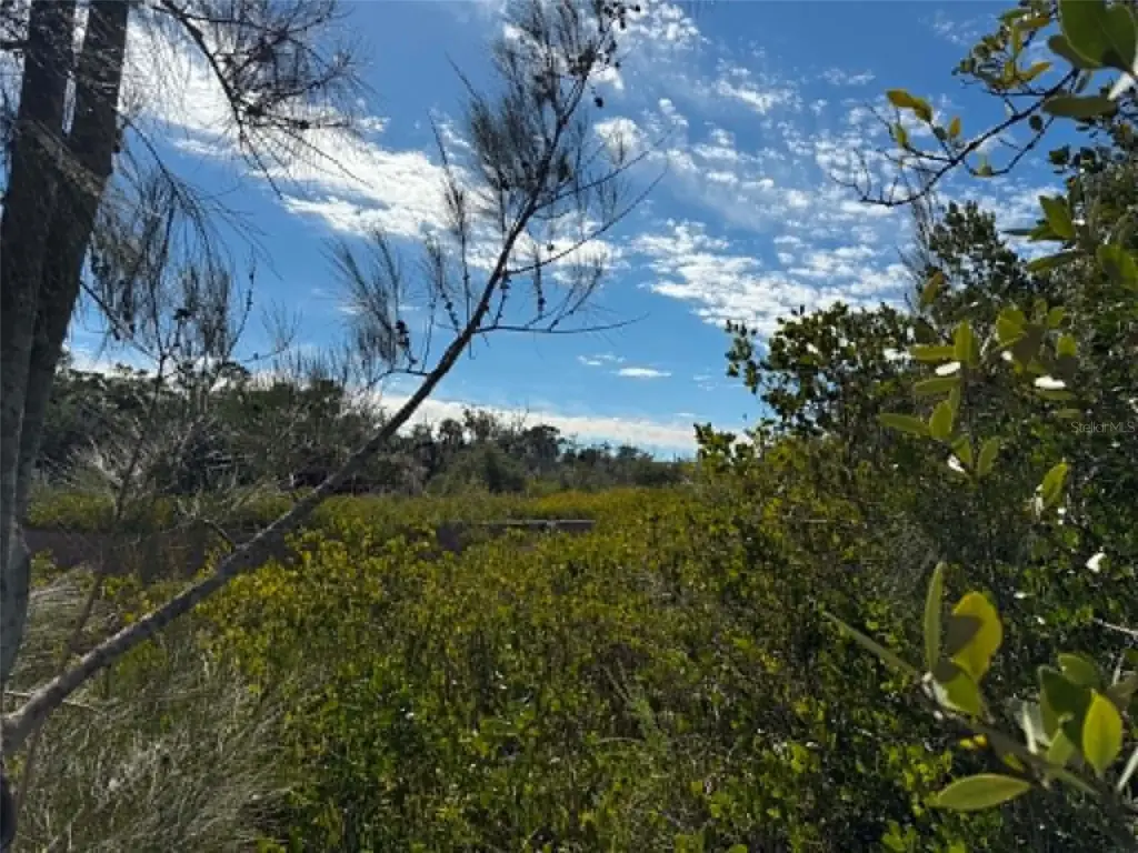 Picture 15
