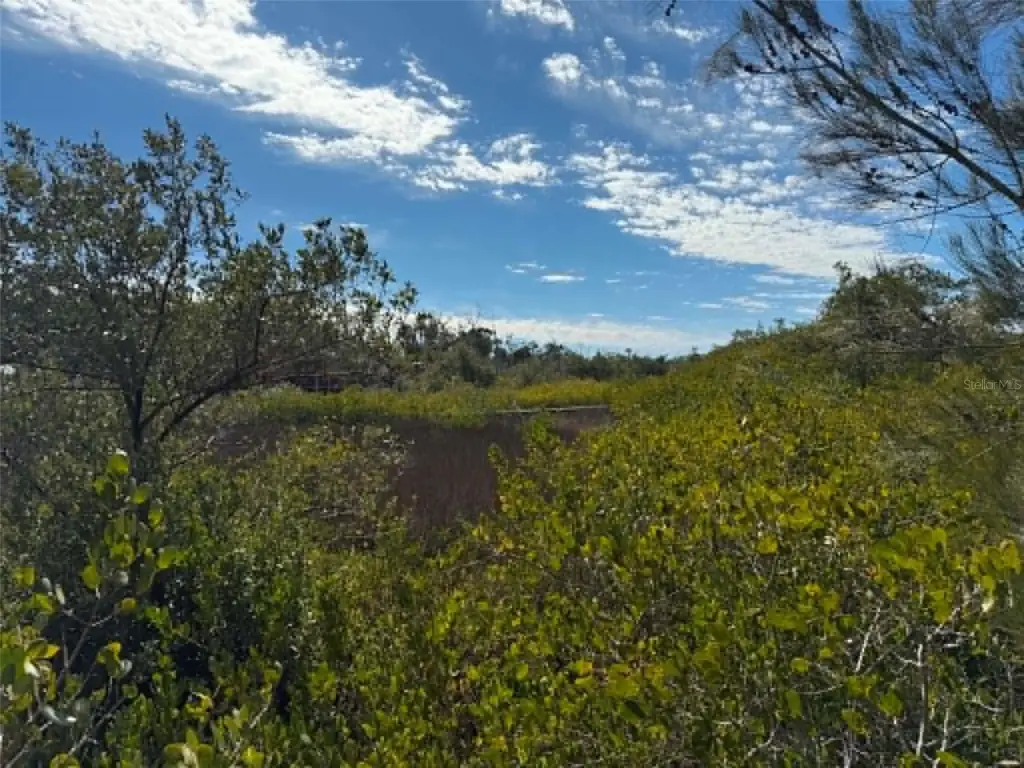 Picture 17