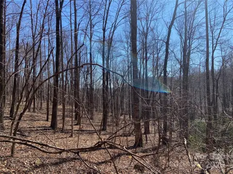 Lake Lure Buildable Acreage