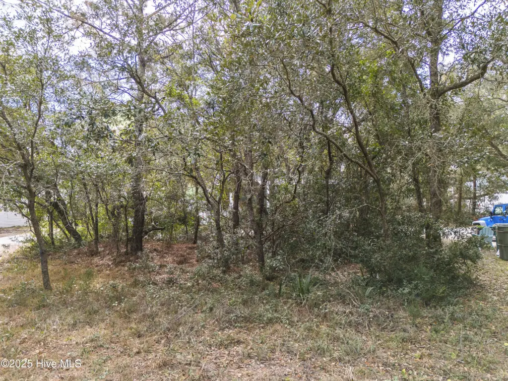 Picture 9