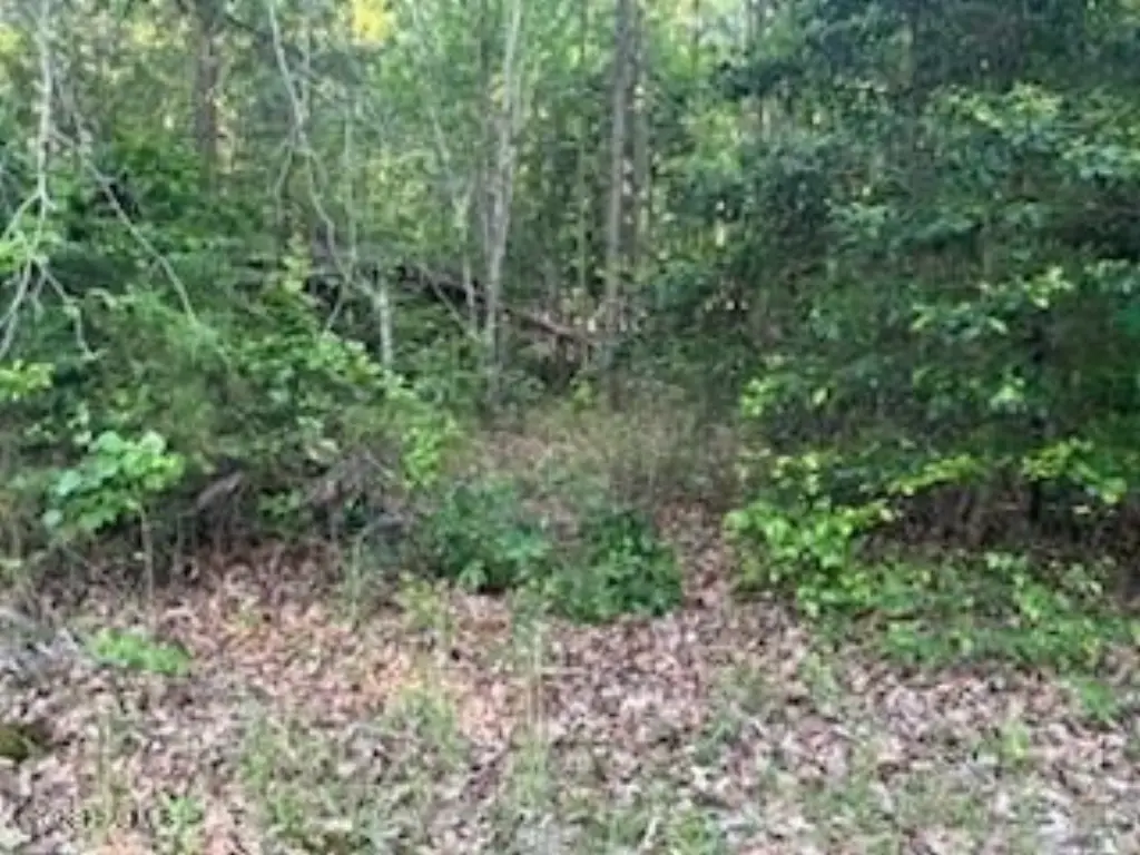Picture 3