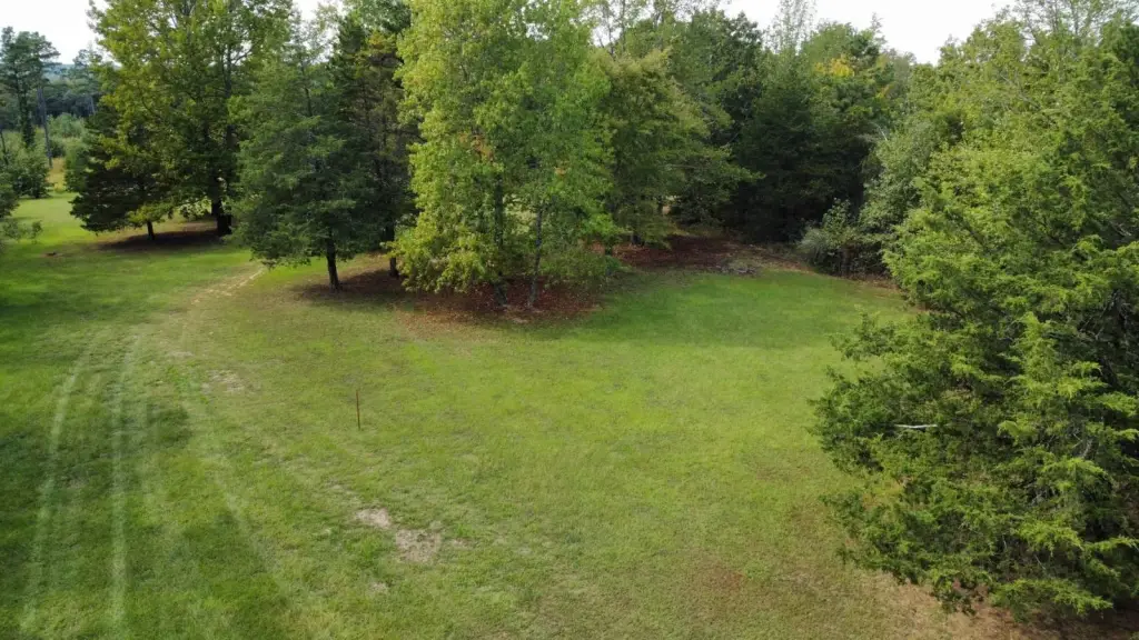 Picture 21