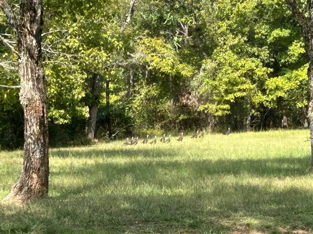 Picture 2