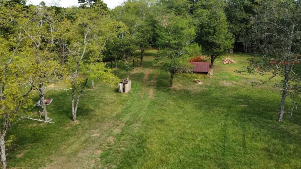 Picture 22