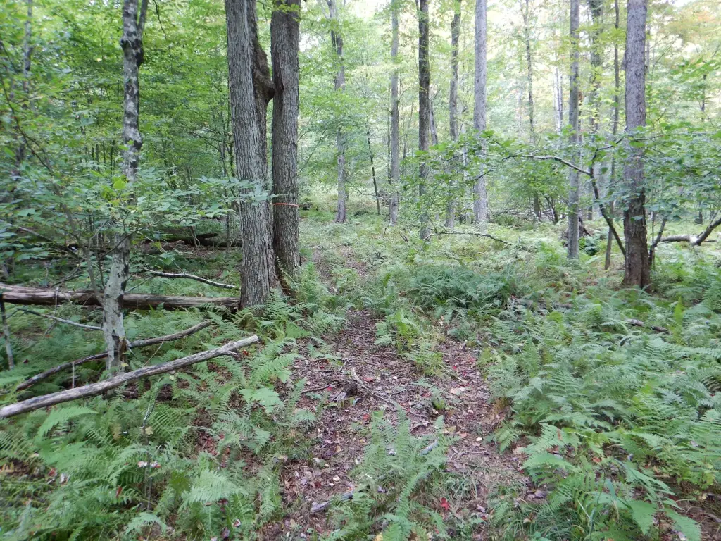 Picture 25