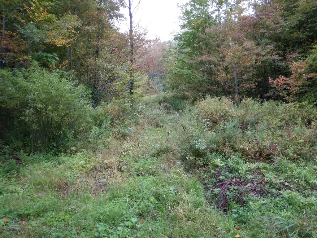 Picture 26