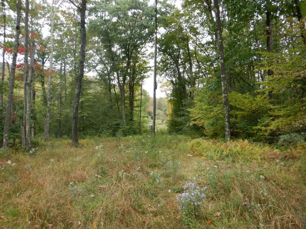 Picture 15