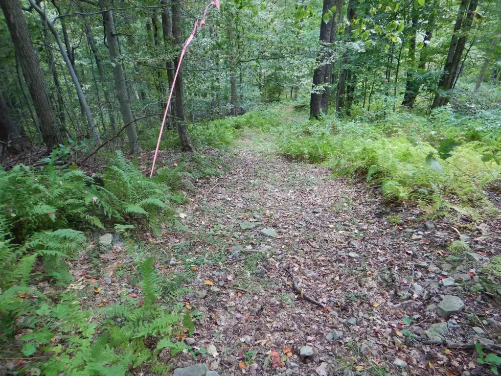 Picture 12