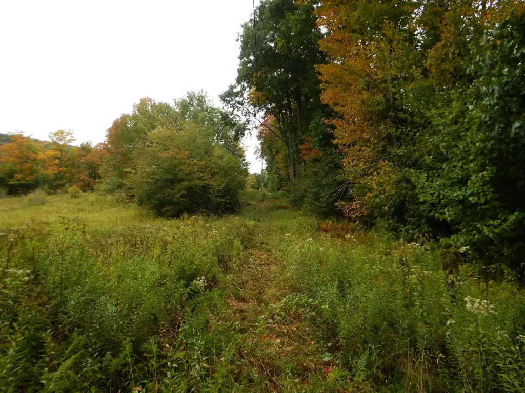 Picture 24