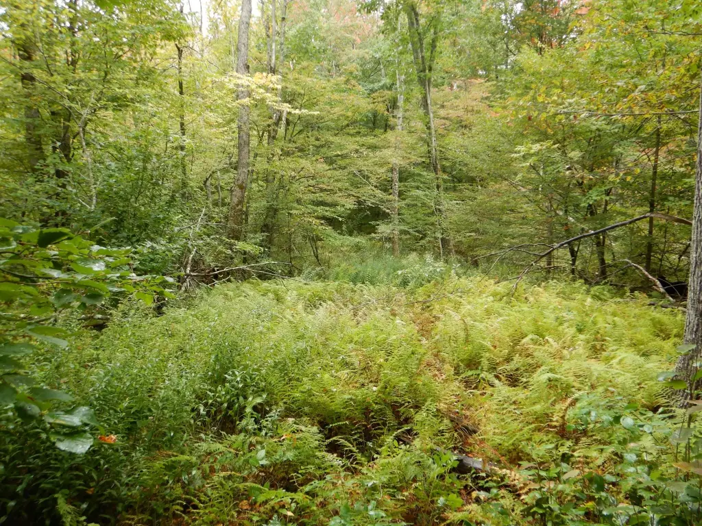 Picture 4