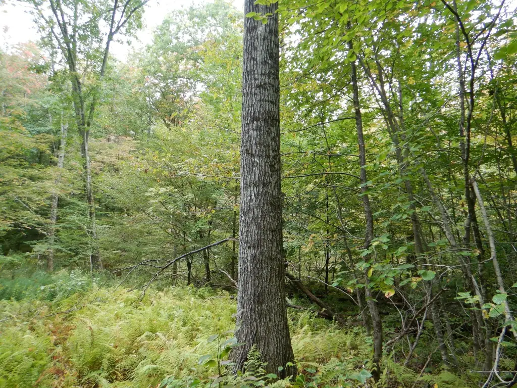 Picture 27