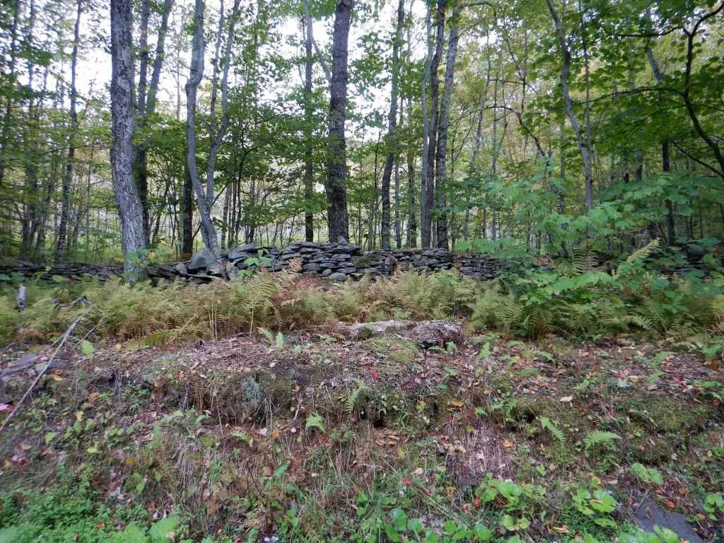 Picture 5