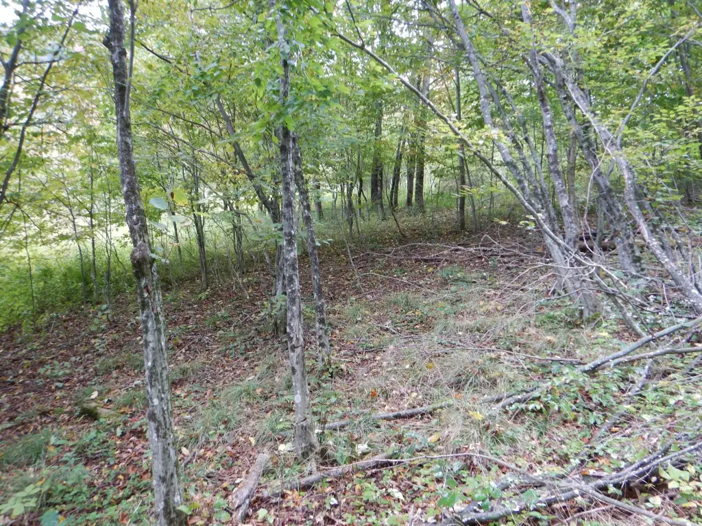 Picture 8