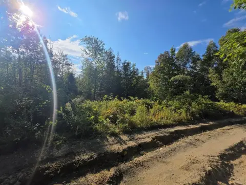 Hunting Land in Central Maine