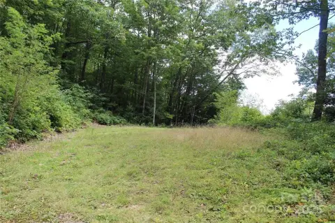 Smoky Falls Mountain Homesite