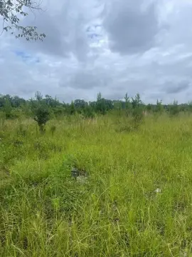 Bainbridge, GA Unimproved Commercial Land