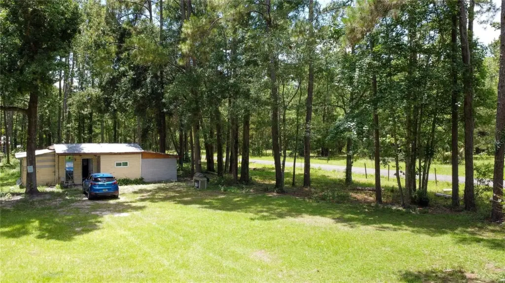 Picture 5