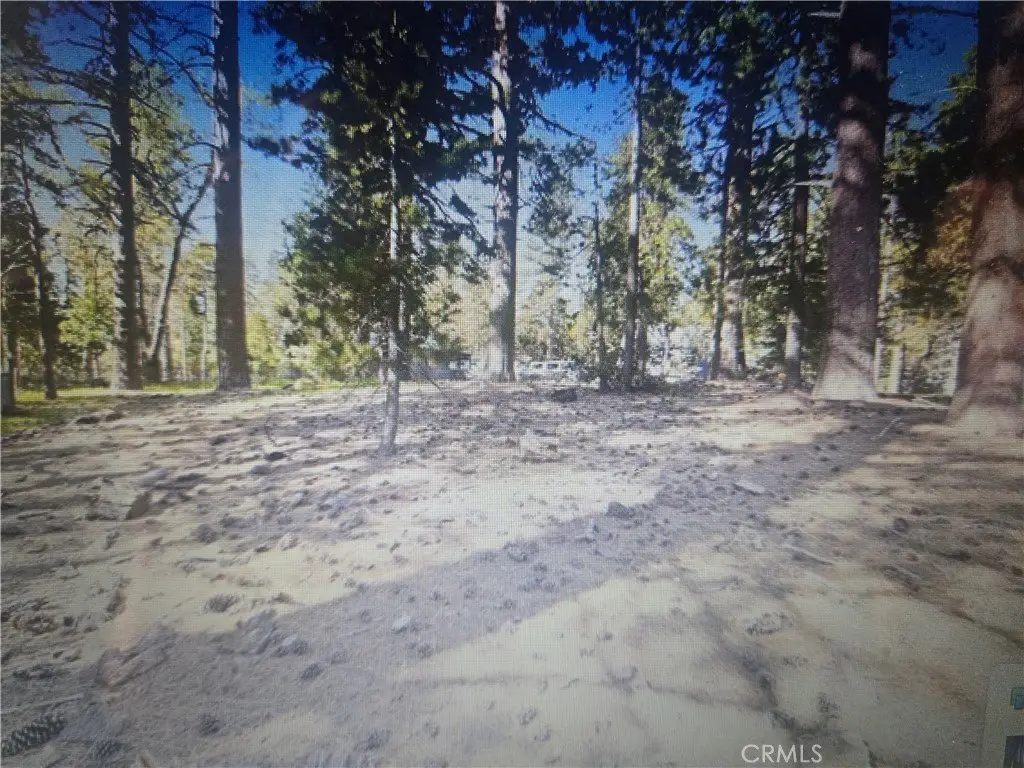 Picture 4
