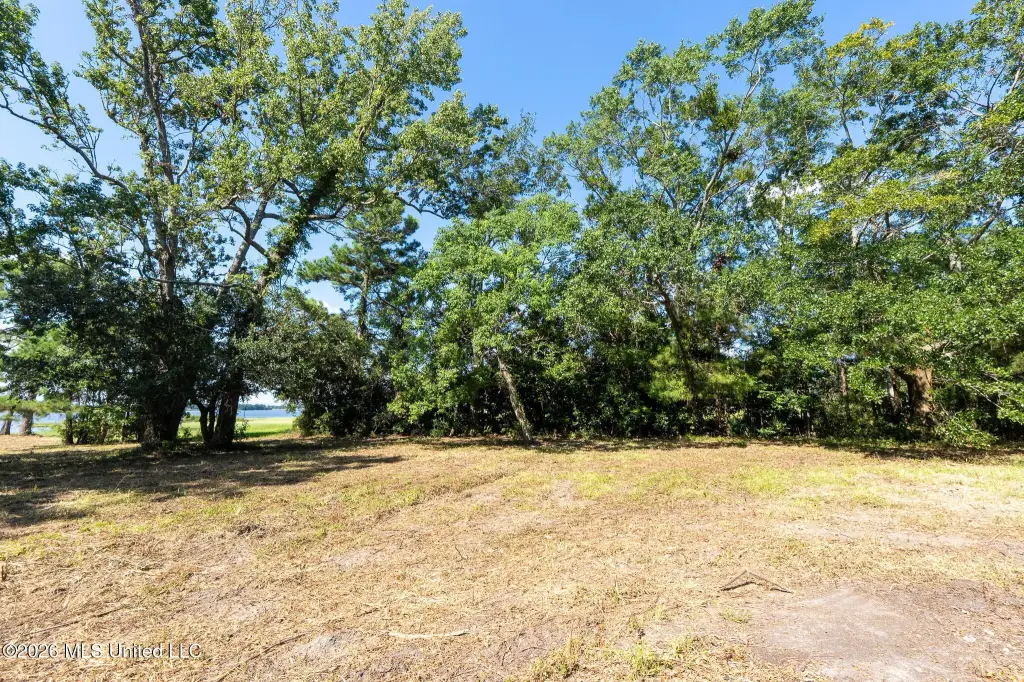 Picture 6