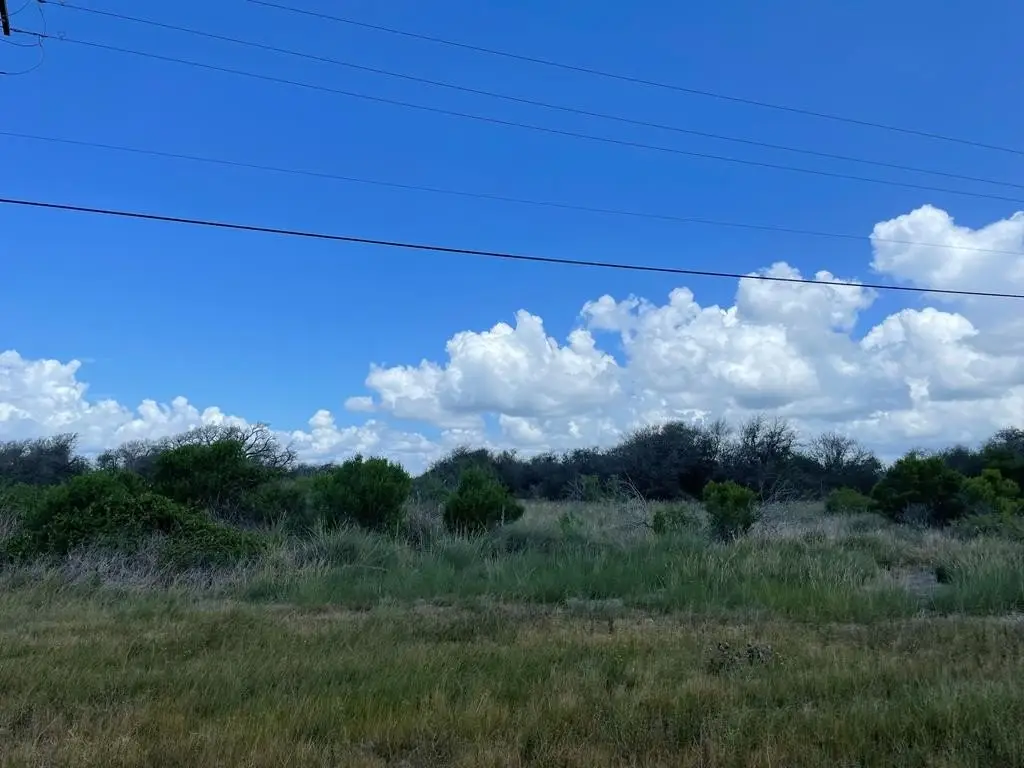 Picture 21