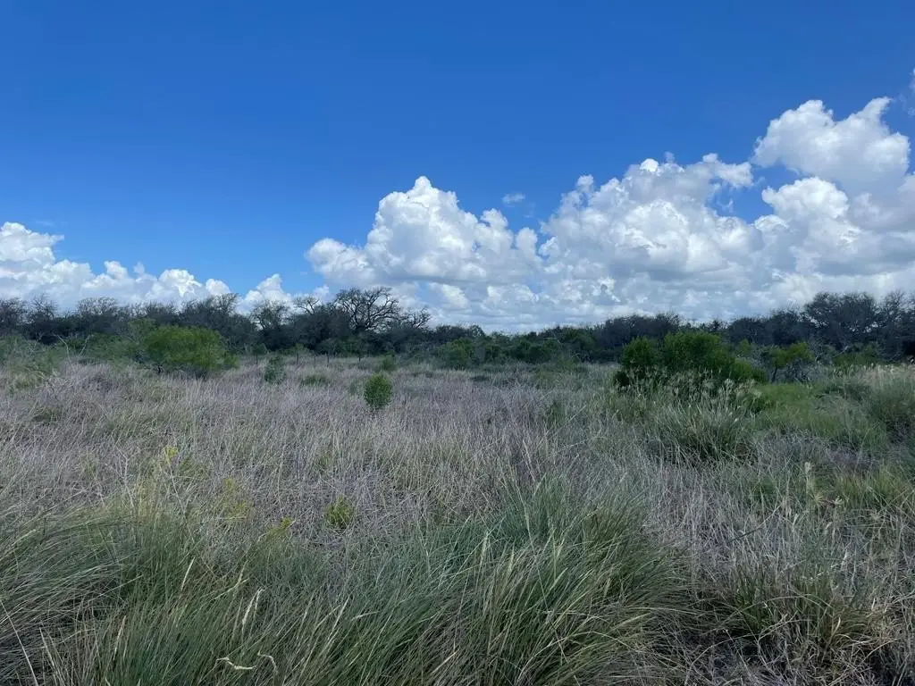 Picture 22