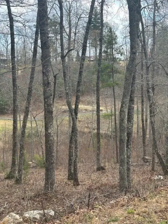 Picture 8