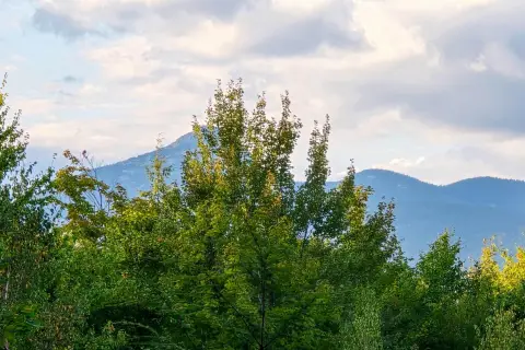 Land with Mountain View Potential