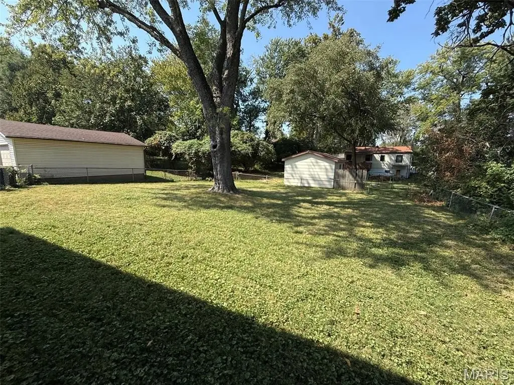 Picture 19