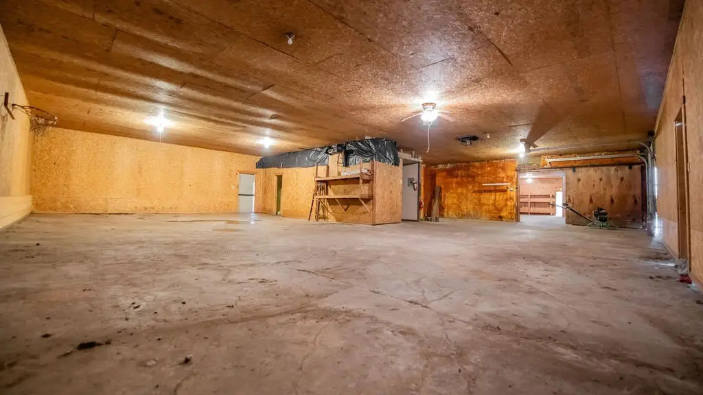 Picture 6
